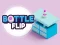 遊戲Bottle Flip在線