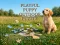 遊戲Playful Puppy Outdoor Puzzle在線
