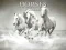 遊戲Horses Puzzle在線