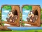 遊戲Jungle 5 Diffs在線