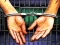 遊戲Prison Escape 2022在線