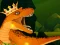 遊戲The Dino King在線