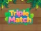 遊戲Triple Matched在線