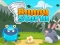 遊戲Bunny Storm在線