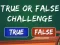 遊戲 True Or False Challenge在線