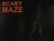 遊戲Scary Maze在線