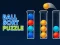 遊戲Ball Sort Puzzle在線