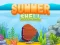 遊戲Summer Shell在線