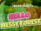 遊戲Hidden Objects Hello Messy Forest在線
