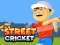 遊戲Street Cricket在線
