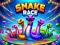 遊戲Snake Race在線