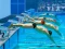 遊戲Swimming Pool Race在線