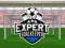 遊戲Expert Goalkeeper在線