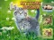 遊戲Kittens Jigsaw在線