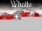 遊戲Whaito在線
