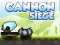 遊戲Cannon Siege在線