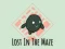 遊戲Lost In The Maze在線