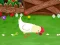 遊戲Stupid Chicken在線