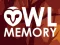 遊戲Owl Memory在線