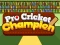 遊戲Pro Cricket Champion在線
