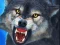 遊戲Sniper Wolf Hunter在線