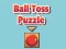 遊戲Ball Toss Puzzle在線