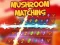 遊戲Mushroom matching在線