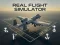 遊戲Real Flight Simulator在線