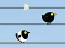 遊戲Gone with the Birds在線