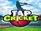 遊戲Tap Cricket在線