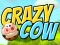 遊戲Crazy Cow在線