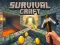 遊戲Survival Craft在線
