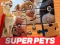 遊戲DC League of Super Pets Jigsaw Puzzle在線