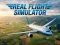 遊戲Real Flight Simulator在線