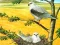 遊戲Birds Of Prey Puzzle在線