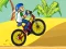 遊戲BMX Boy Online在線