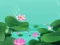 遊戲Lotus Flowers在線