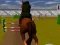遊戲Jumping Horse 3d在線