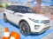 遊戲Drive Car Parking在線
