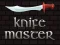 遊戲Knife Master在線