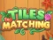 遊戲Tiles Matching在線