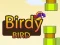 遊戲Birdy Bird在線