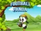 遊戲Football Panda在線