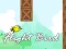 遊戲Flight Bird在線