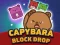 遊戲Capybara Block Drop在線