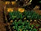 遊戲Pixel Farm在線