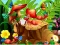 遊戲Hidden Objects Insects在線