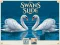 遊戲Swans Slide在線