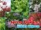遊戲Spring Flowers: Hidden Objects在線