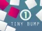 遊戲Tiny Bump在線